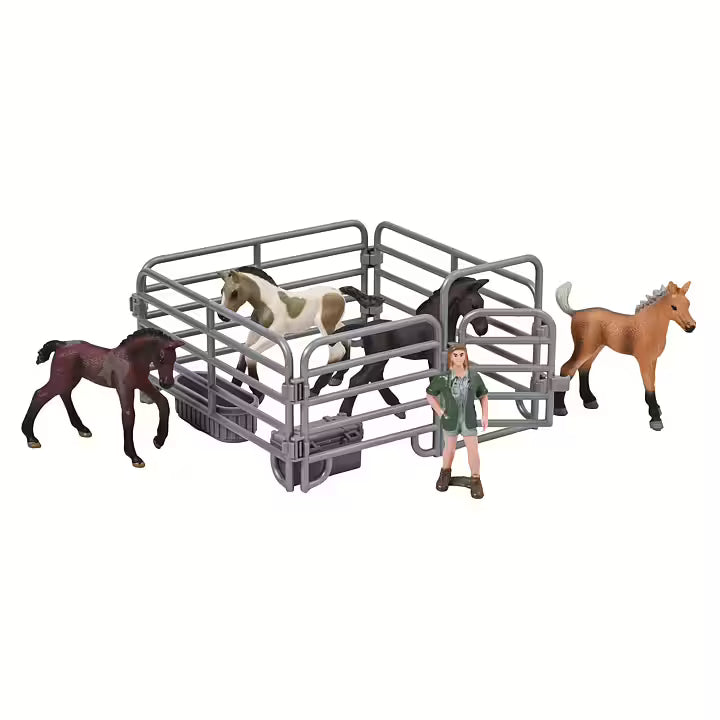 Jucarii Toy Paddock set IRH Magic