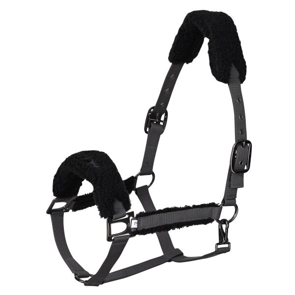 Capastru HVP Teddy full