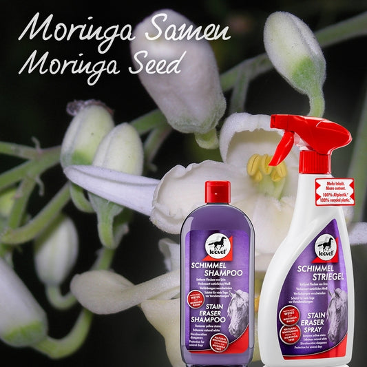 Sampon cai -White Leovet Milton