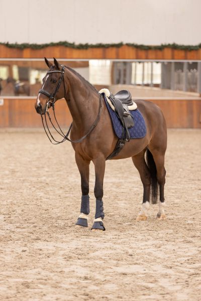 Valtrap HVP Chavelle GP