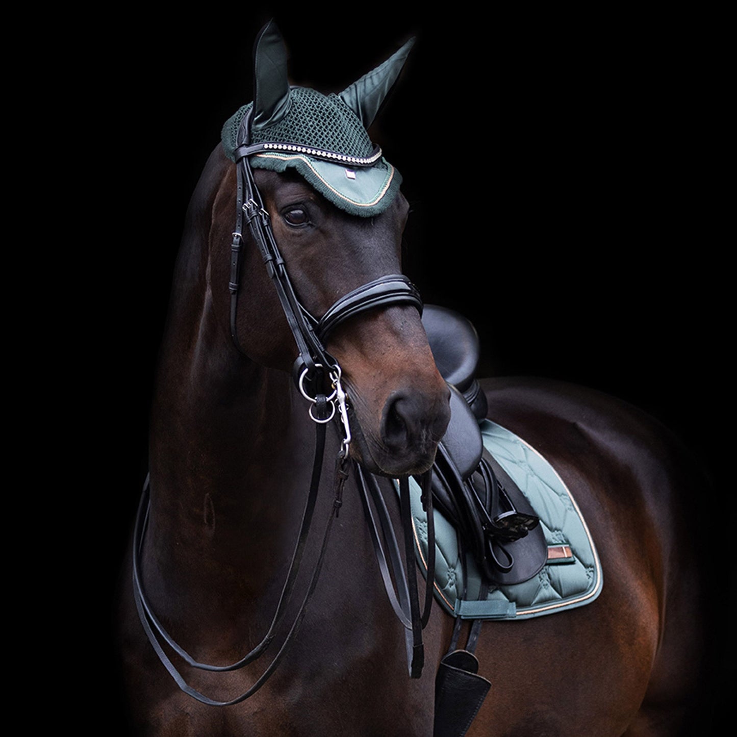 Valtrap IRH Lovely GP