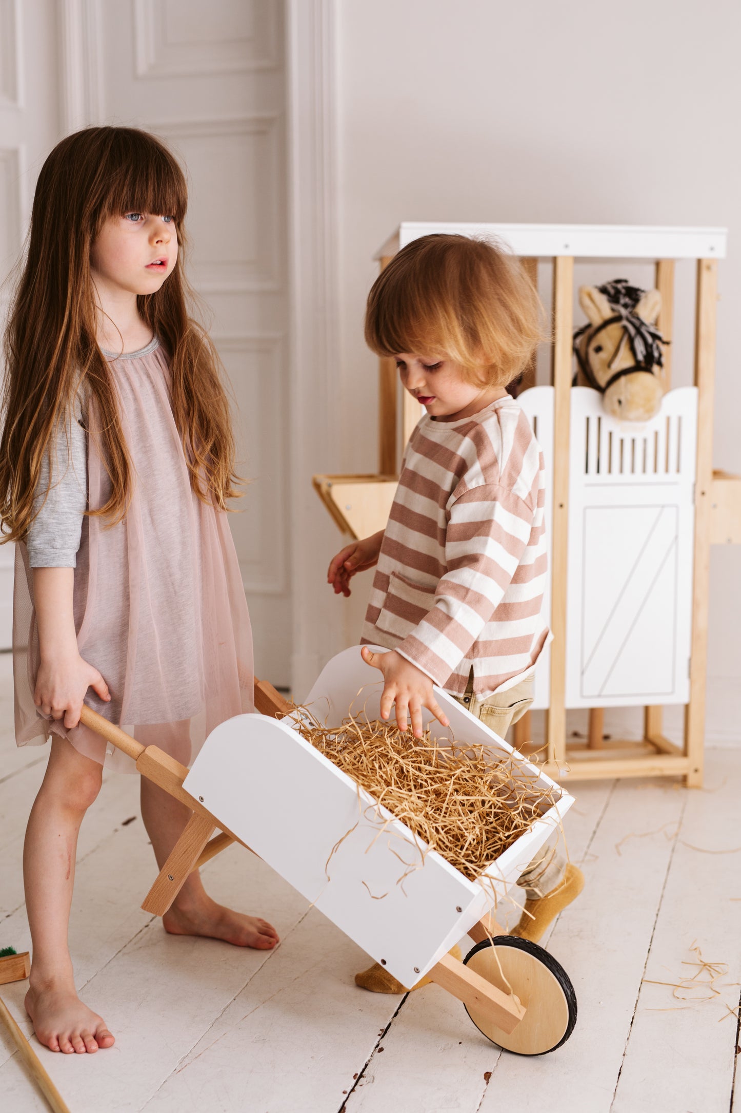 Hobby Horse Beauty