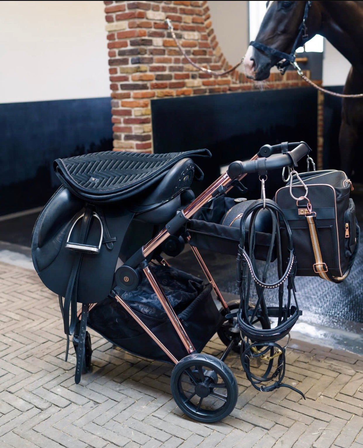 Carucior pentru sa IRHCarry Light Rose Plated