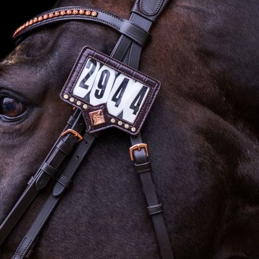 Număr competitie IRH Show and Glow