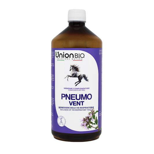 PNEUMO VENT Respiro balsamico