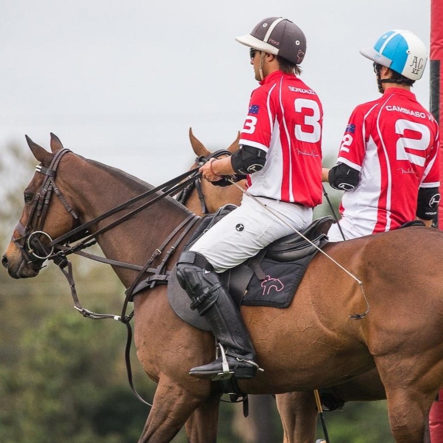 Protectii de cot POLO