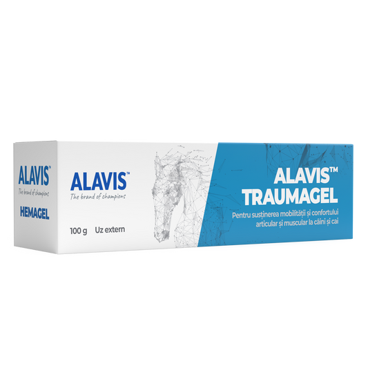 Alavis Traumagel