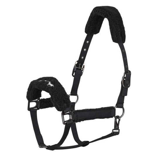 Capastru HVP Teddy full