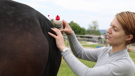 No Rub solutie antiscarpinare by Leovet