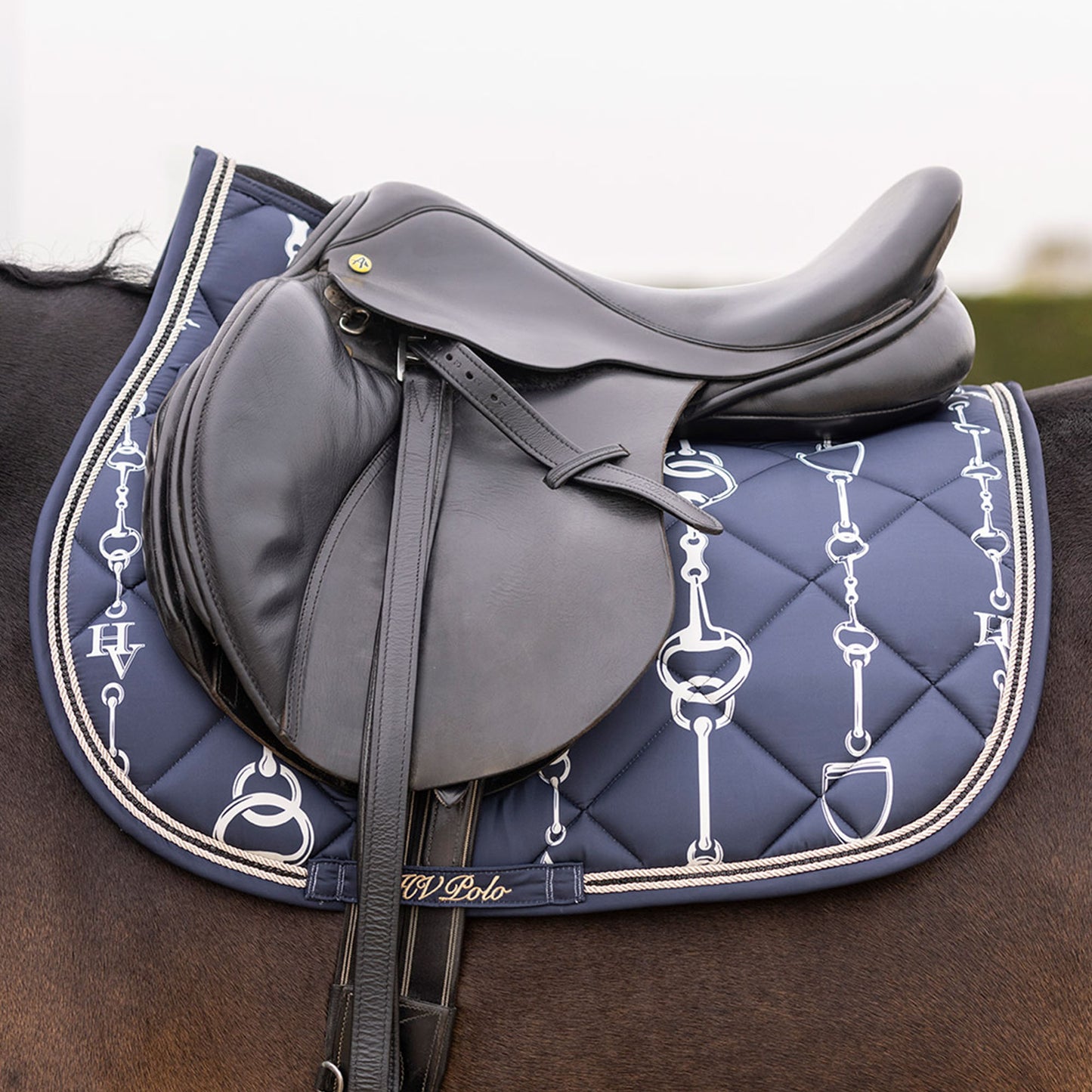 Valtrap HVP Belle GP