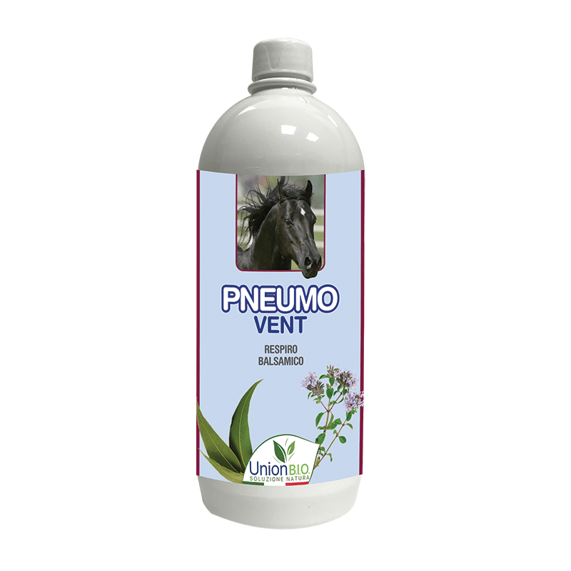 PNEUMO VENT Respiro balsamico