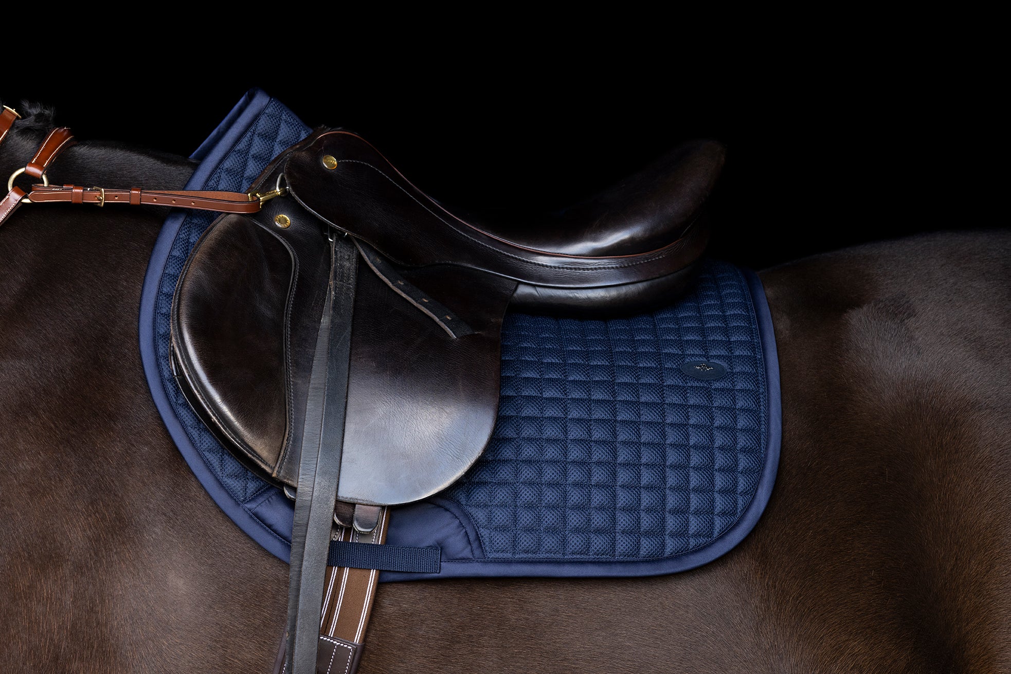 Sei & chingi – Equestrian POLO