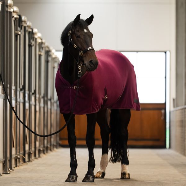 Patura fleece de transpiratie / transport