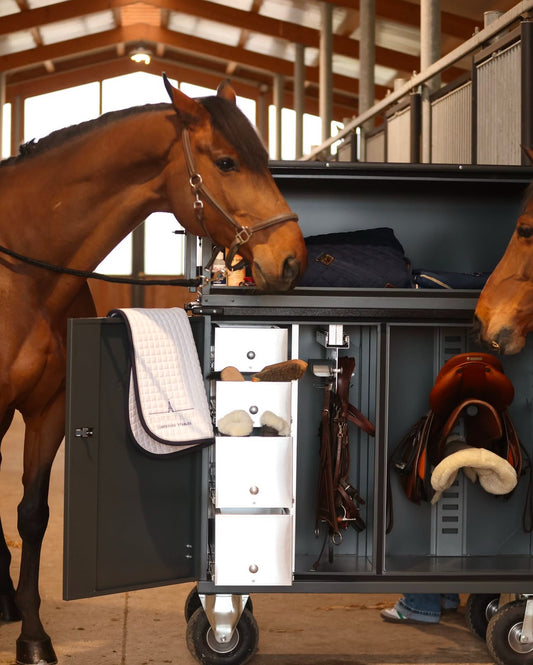Dulap Tack Box - Luxury