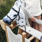 Grajd pentru Hobby Horses