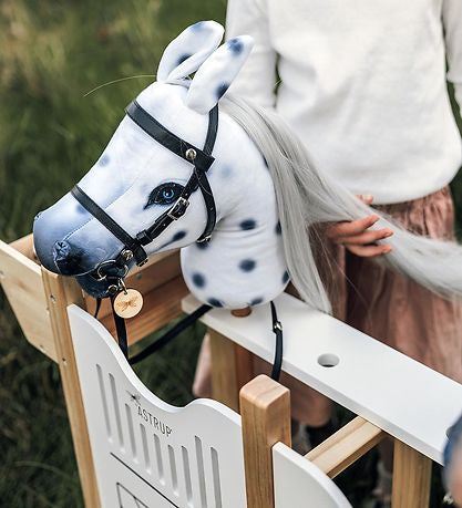 Grajd pentru Hobby Horses