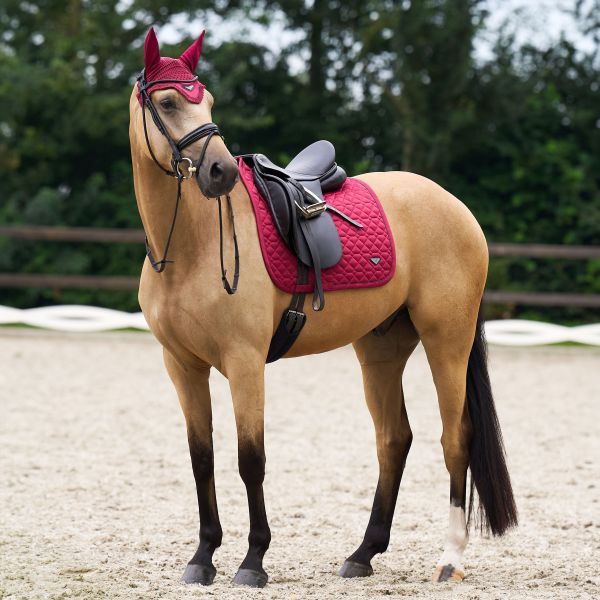 Valtrap ES Coco DR Full