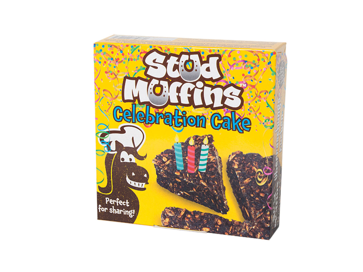 Stud Muffins Celebration Cake