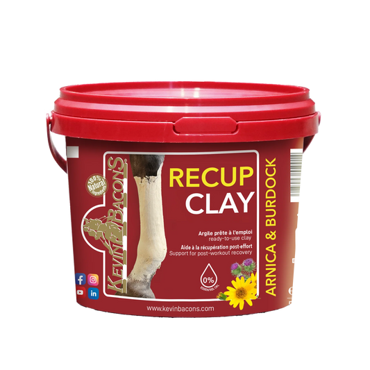 Argila Recup Kevin Bacon's