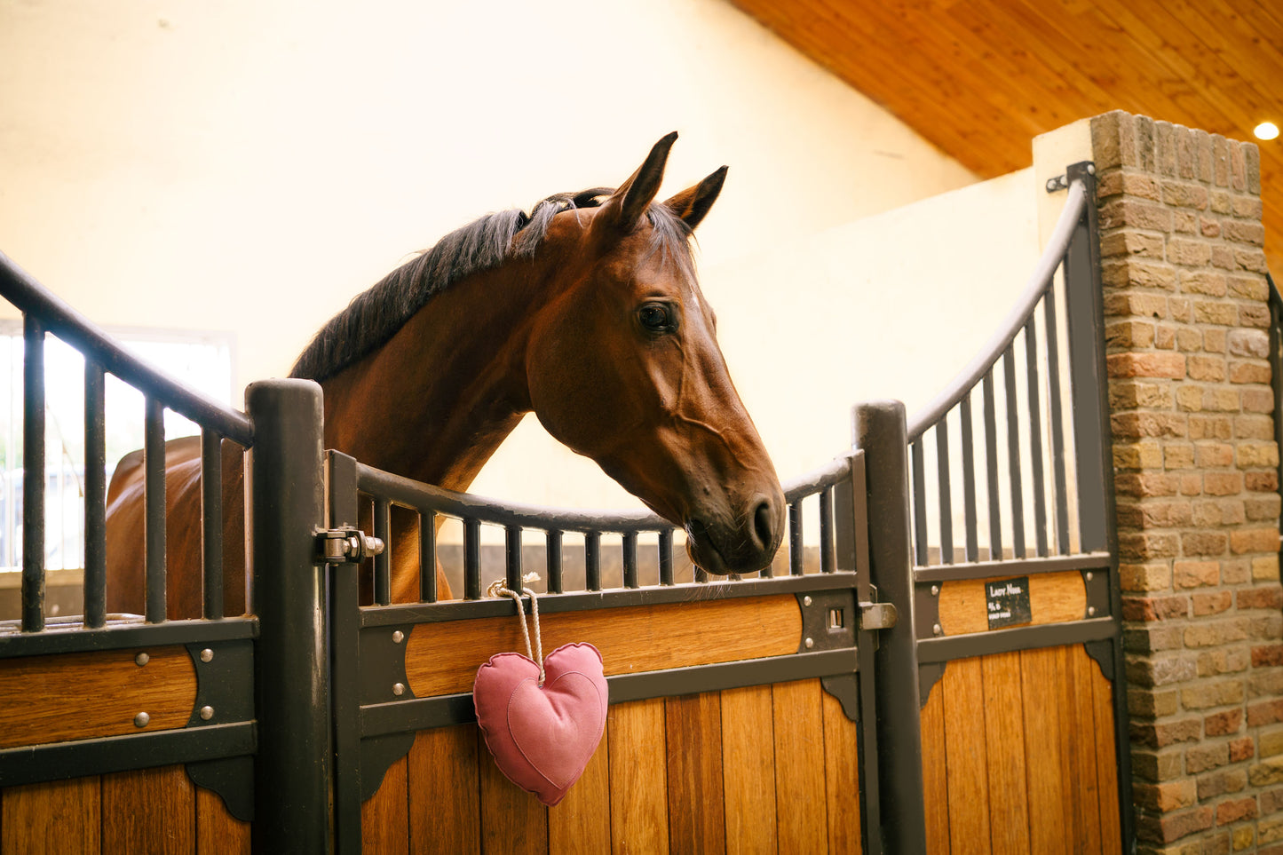 Jucarie de boxa Stable Buddy