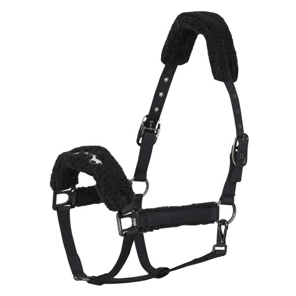 Capastru HVP Teddy full