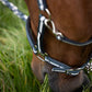 Capastru PIN BUCKLE ESK