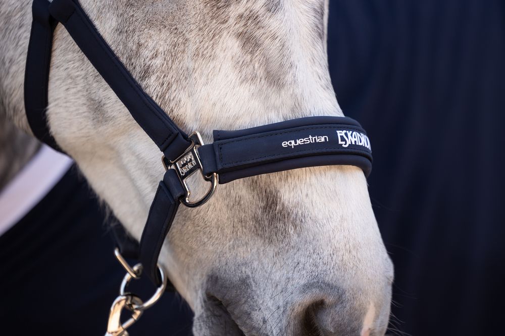 Capastru Softshell ESK