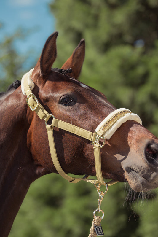 Capastru Jewel Heritage ESK