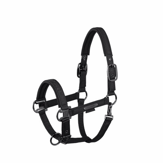 Capastru SPARKLE DOUBLE PIN ESK