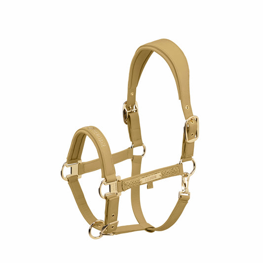 Capastru Heritage ESK