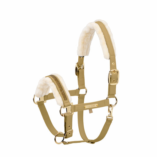 Capastru Jewel Heritage ESK