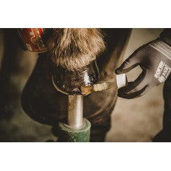 Ulei pentru copite Kevin Bacon's Liquid