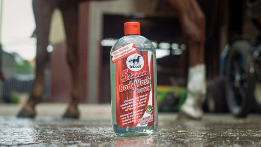 Sampon cai 5* Body Wash Leovet